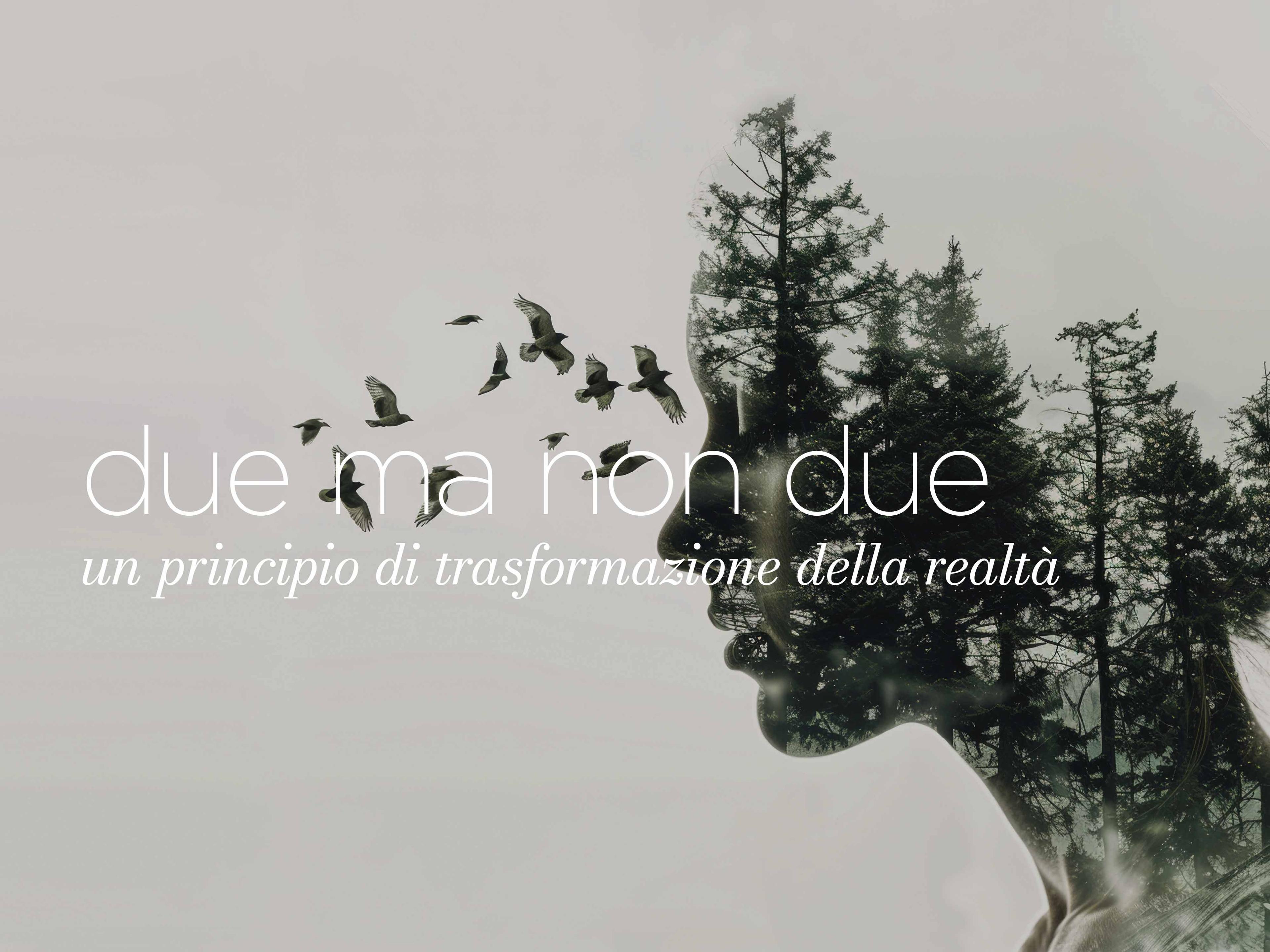 Copertina dello speciale di Buddismo e Società